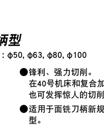 日本大昭和BIG/快锋式面铣刀