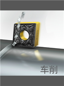 瑞典山特维克Sandvik